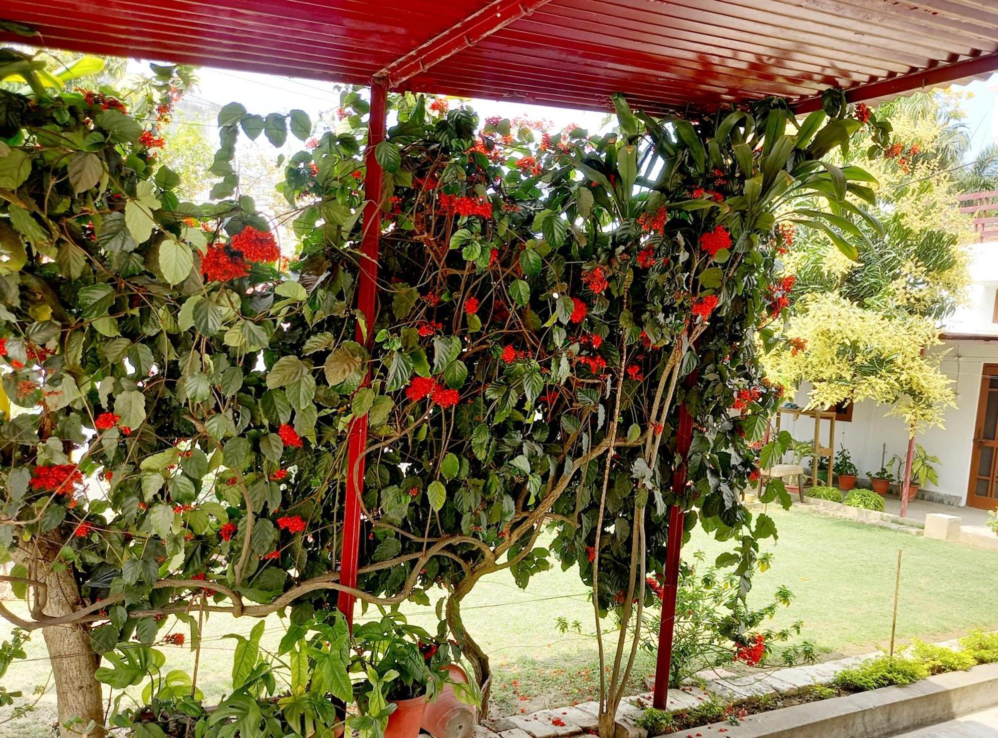 Garden View Residency Bed and Breakfast Lucknow Eksteriør billede